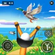 Bird Shooting: Slingshot Games