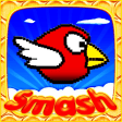 Smash Birds: Fun and Cool for Boys Girls and Kids