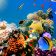 プログラムのアイコン：Aquarium Live Wallpaper