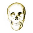 Ikona programu: Anatomy Quiz Lite