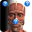 Anatomy Quiz Free