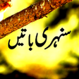Icon of program: Urdu Sunehri Batain