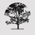 Ikon program: Humata:AI App Walk-throug…