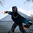 程序图标：Panther hero fighting 202…
