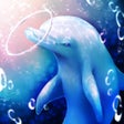程序图标：Aquarium Dolphin Simulati…