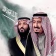 أيقونة البرنامج: شيلات وطنية