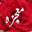 أيقونة البرنامج: Janab e Syeda s.a ki kaha…