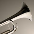 程序图标：iFretless Brass