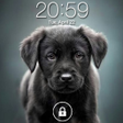 Puppy Dog Lock Screen