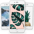 Icon of program: Tropical Wallpapers