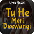 程序图标：Tu He Meri Deewangi