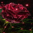 Icon of program: Magical Rose Live Wallpap…