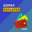 Ikon program: GoPay Later 5 menit cair …