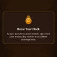 Symbol des Programms: Cluck Clash Fansy