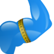 程序图标：Body Measurement Body Fat…