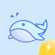 程序图标：Novelsea Lite