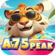 Иконка программы: A75Peak