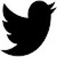 ไอคอนของโปรแกรม: Twitter Not X
