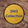 Icon of program: Messages and Quotes Wishe…