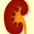 程序图标：Medical Terminology Quiz