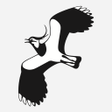 Icon of program: DOFs fuglebog
