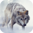 Icon of program: Wolf Sounds
