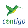 DISAContigo icon