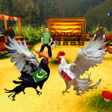 Ikona programu: Rooster Fight 2025 Saga