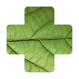 Programın simgesi: Plant Disease Identifier.