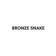 プログラムのアイコン：BRONZE SNAKE