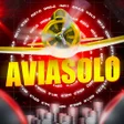 程序图标: Aviasolo