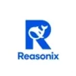 Biểu tượng của chương trình: Reasonix