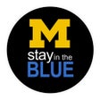 Ícone do programa: Stay in the Blue