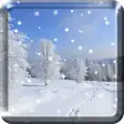 Winter Snow Live Wallpaper  HD
