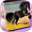 Programın simgesi: Equine keyboard