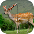 程序图标：Deer Sniper: Hunting Game