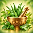 Icon of program: Ayurvedic Remedies