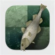 Icoon van programma: Stockfish Chess