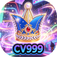 ไอคอนของโปรแกรม: CV999Nocthunt