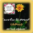 Inspirational Quotes In Telugu