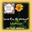 Biểu tượng của chương trình: Inspirational Quotes In T…