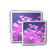 Icon of program: John's Image Converter