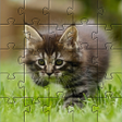 プログラムのアイコン：Kittens Jigsaw Puzzles