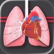 أيقونة البرنامج: STS Cardiothoracic Surger…