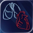 程序图标：STS Cardiothoracic Surger…