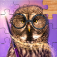 程序图标：Wizard Potter jigsaw puzz…