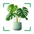 ไอคอนของโปรแกรม: Plant Identifier