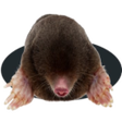 Icon of program: Mole Mash