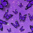 プログラムのアイコン：Purple Wallpapers VSCO Bl…