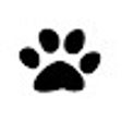 Konamikitten icon